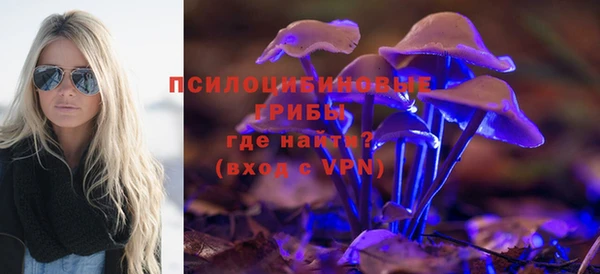 меф Новозыбков