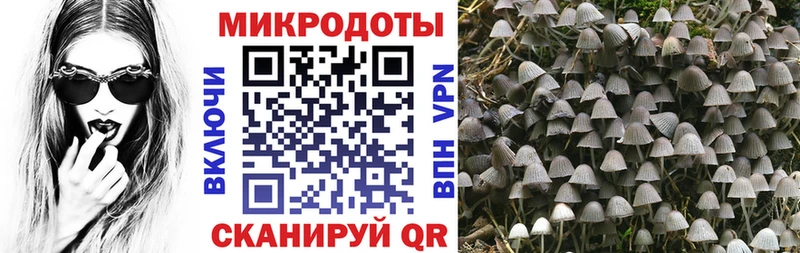 где купить   OMG   Псилоцибиновые грибы GOLDEN TEACHER  Благовещенск 