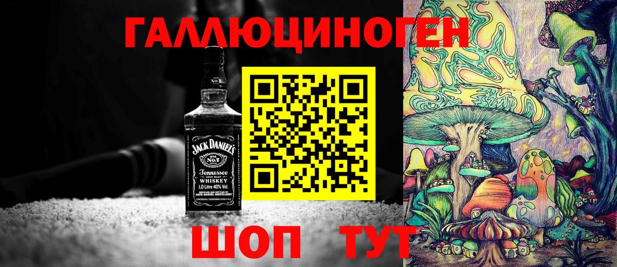 Псилоцибиновые грибы MAGIC MUSHROOMS  купить наркотик  Благовещенск  Галлюциногенные грибы MAGIC MUSHROOMS 