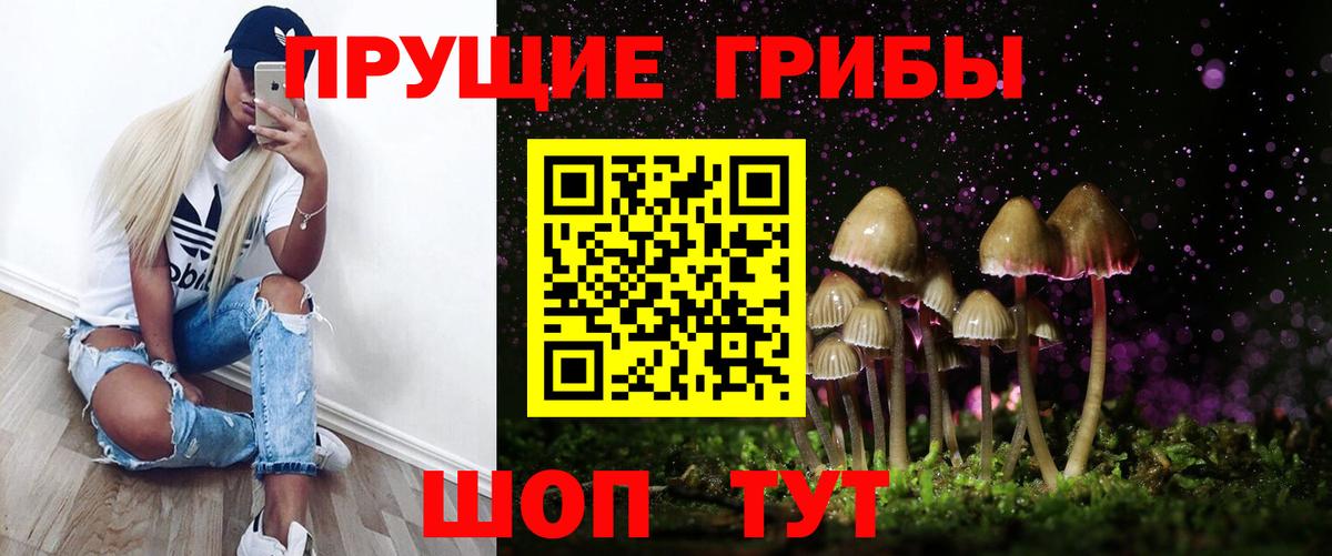 Псилоцибиновые грибы Psilocybe Благовещенск