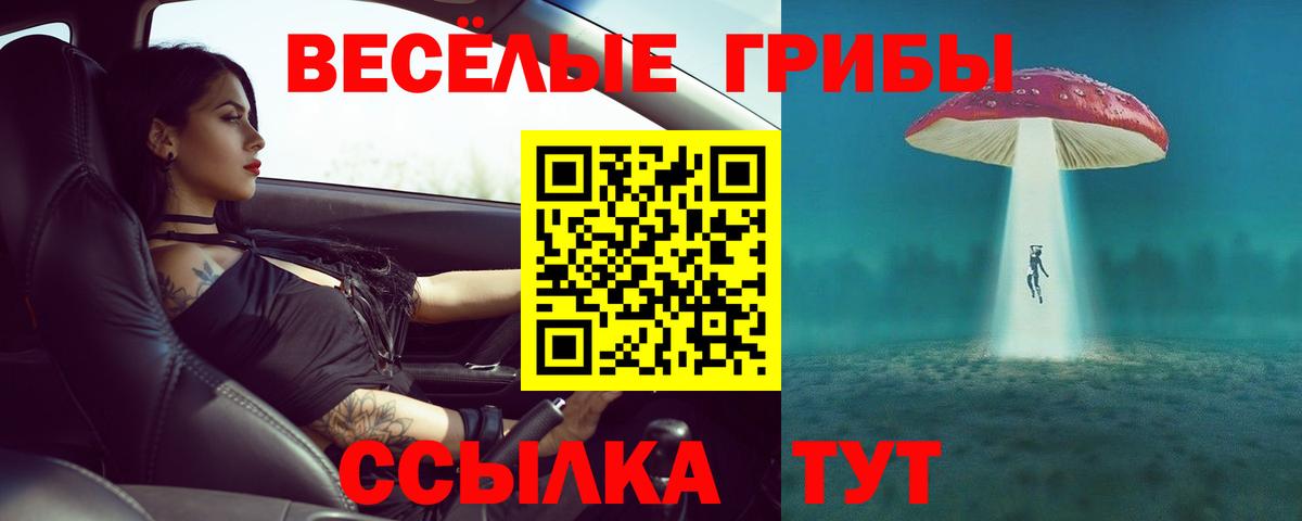 Псилоцибиновые грибы Cubensis Благовещенск